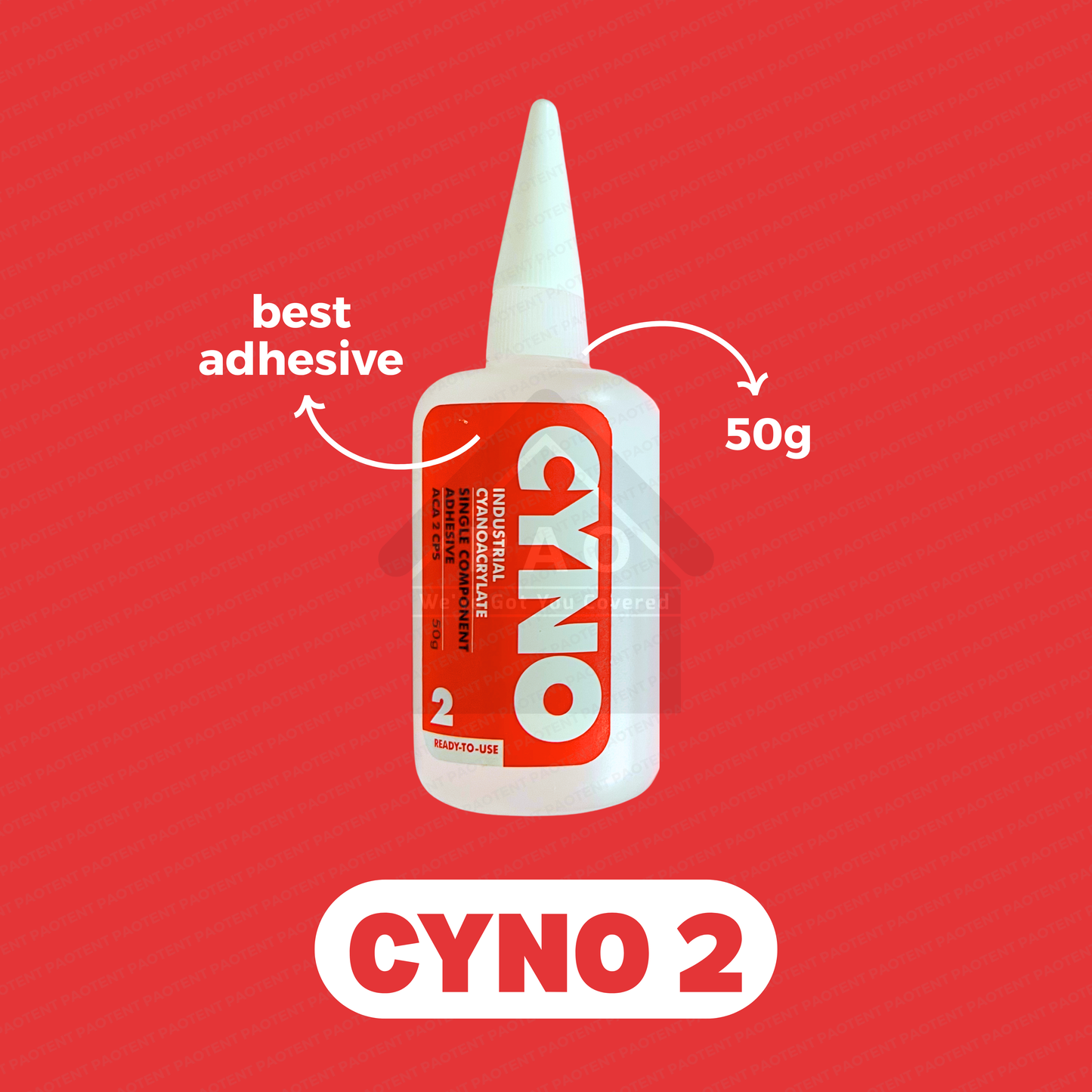 CYNO 2